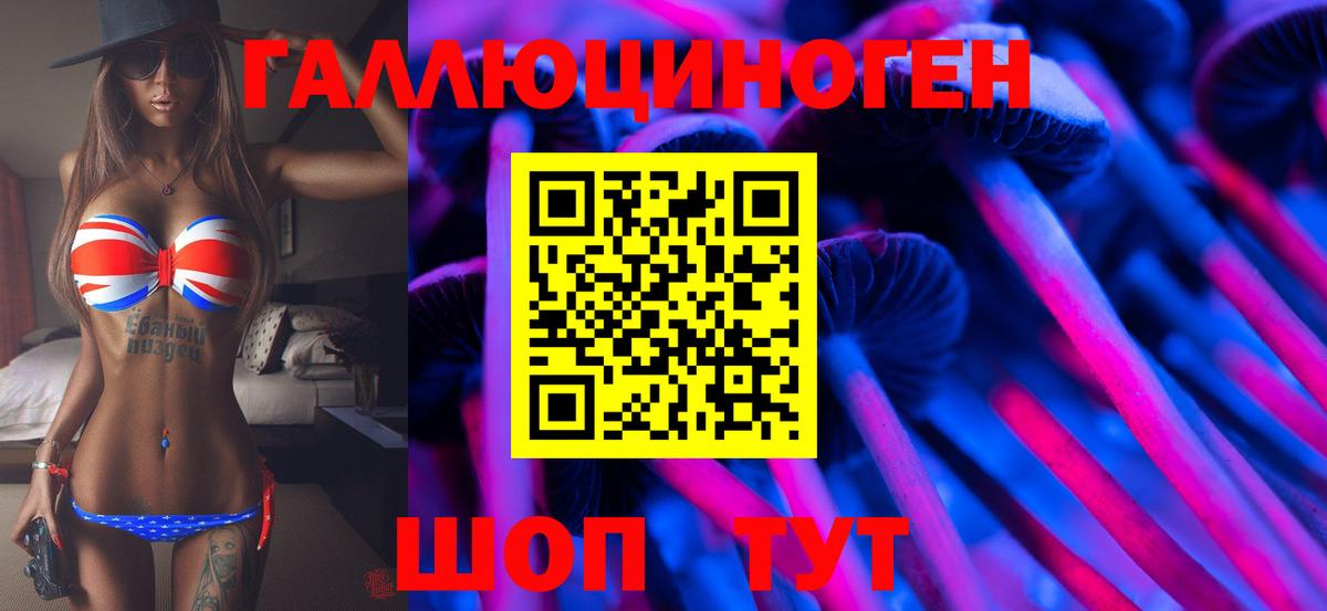 Галлюциногенные грибы Psilocybe  Галлюциногенные грибы мицелий  Тайшет  Вход с VPN 